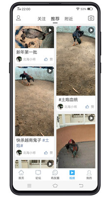 中国斗鸡论坛 v2.6.9安卓版下载