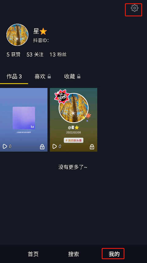 抖音车载版