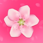 樱花直播app最新破解版