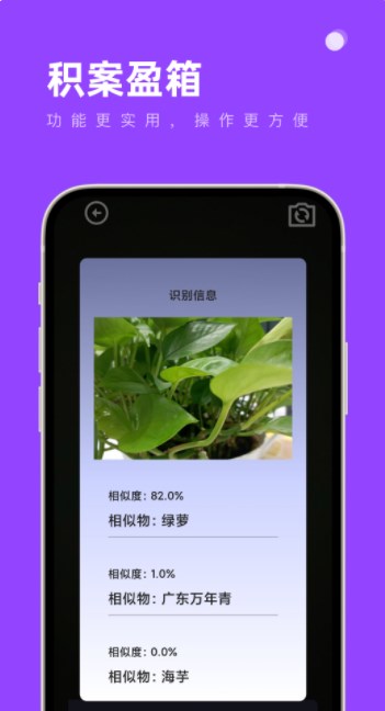 积案盈箱工具箱下载软件