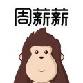 周薪薪下载 v2.5.1