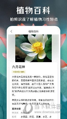 拍照识花APP