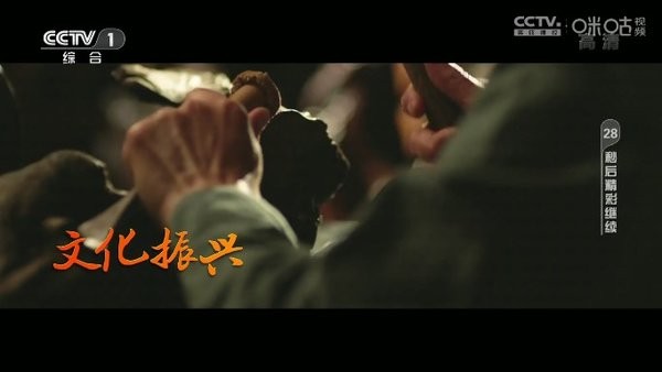 神鸟电视app官方版下载截图