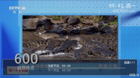 看个球TV电视版