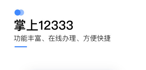 掌上12333官方(社保认证)