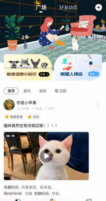 宠陪陪