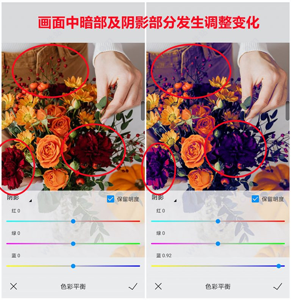 熊猫绘画19