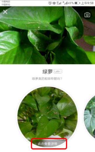 形色app2025最新版