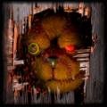 泰迪弗雷迪（Teddy Freddy）手机版v16.1.2安卓版 