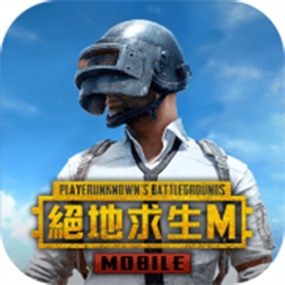 pubg国际服台服最新版2025(pubgmobileTW)