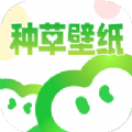 种草壁纸app软件下载  v1.0.0