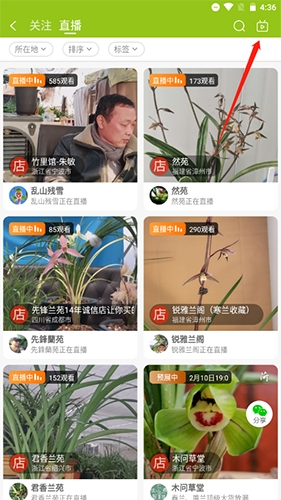 兰花交易网图片7