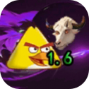 我的鸟随机版下载 v1.63