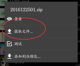 zarchiver pro11