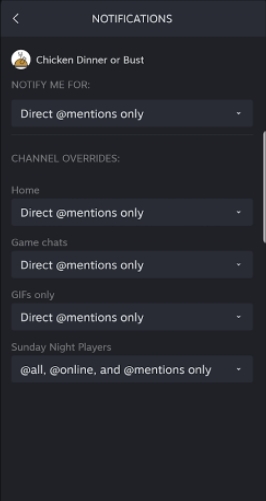 Steam Chat截图2