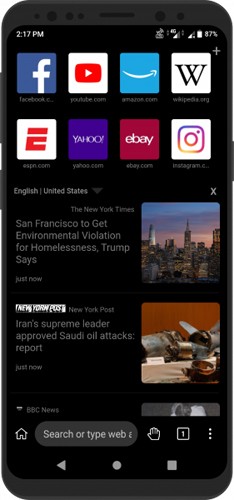 KiwiBrowser官方版 v139.0.7339.0