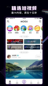 蘑菇短视频最新版