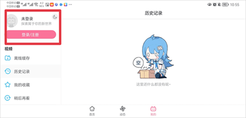 哔哩哔哩HD大屏版