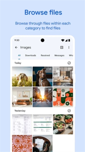 Google文件极客最新版 v1.7223.750851483.1-release