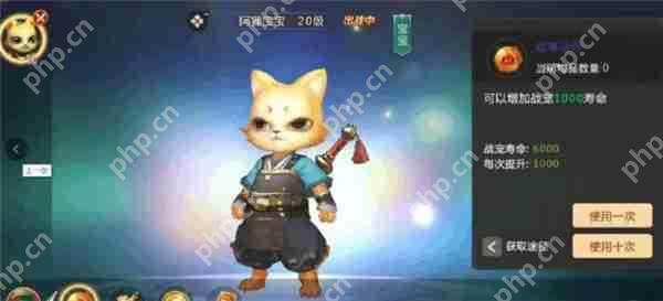 绝世仙王兽神系统攻略
