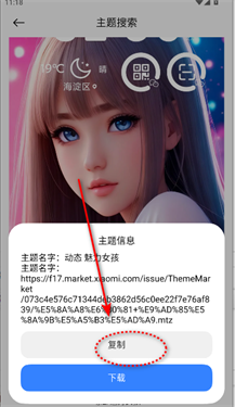 themetool安卓版