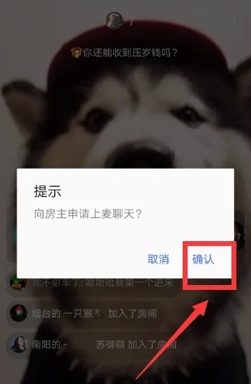 陌陌聊天