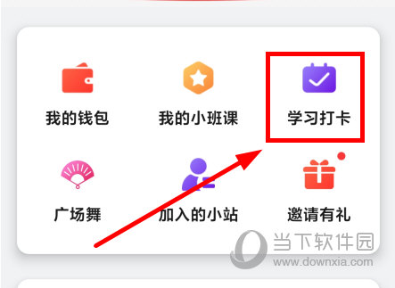 红松app