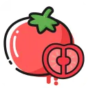 番茄轻断食官方正版 3.4.18安卓版