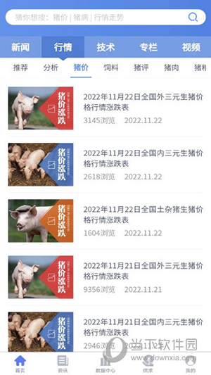 养猪宝