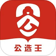 公选王