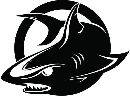 蓝龙直装框架 1.0安卓版