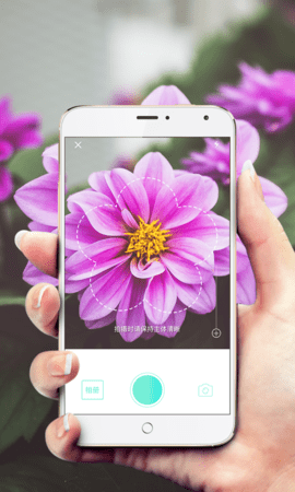 形色植物识别app2025最新