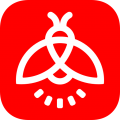 火萤壁纸下载  v1.0.24