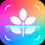 智能识别大师 v1.0.7