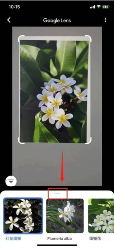 google lens app使用指南6