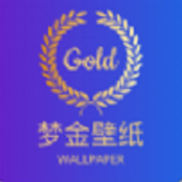 梦金壁纸
