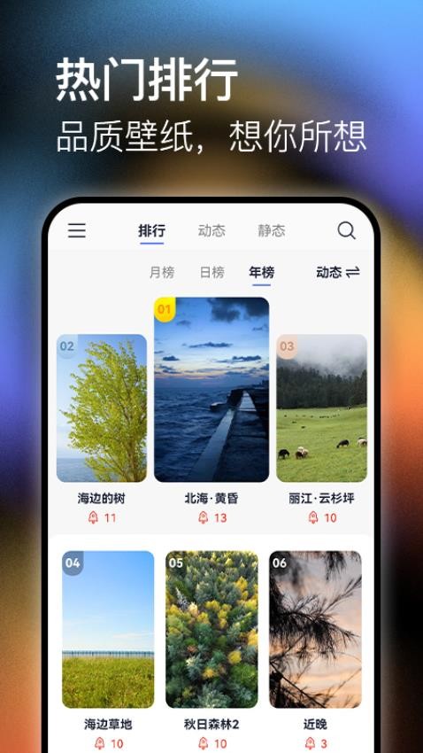 极壁纸截图1
