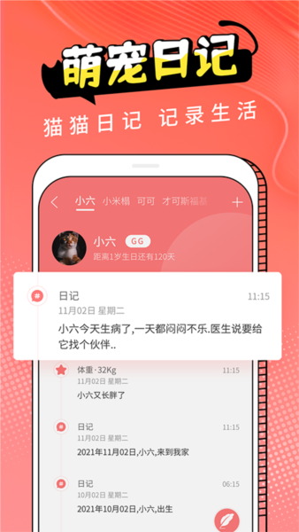 猫翻译图片3