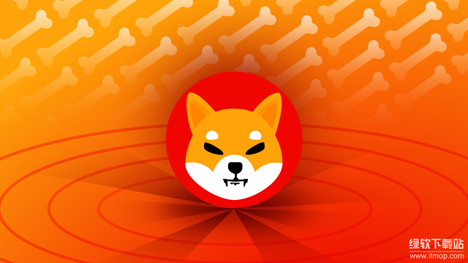 柴犬币会归零吗，迷因币的未来何去何从？