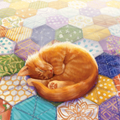 猫与花毯下载 v1.0.215