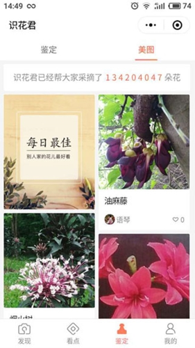 识花君app1