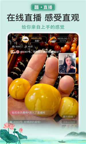 龘藏拍卖 v9.2.0.0