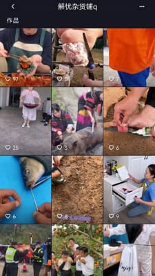 风鹭短视频截图1
