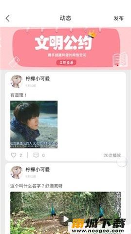 预览图2