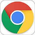 谷歌chrome安卓版下载 v135.0.7049.38