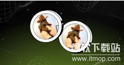 松鼠币的功能是什么？松鼠币的用途和作用有哪些？