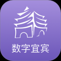 数字宜宾