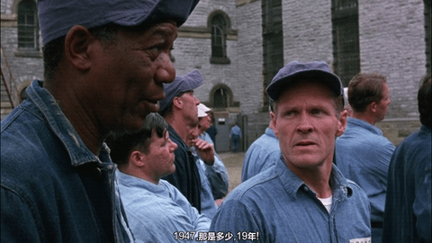 拾光T4TV2024最新版