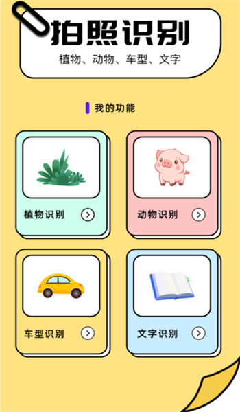 91照片app v1.1