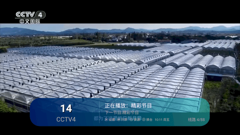 涩涩TV2024最新版